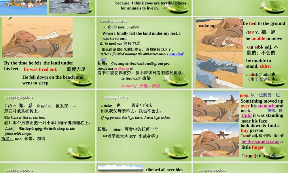 江苏省姜堰区叶甸初级中学八年级英语下册 Unit 4 A good read复习课件 .ppt