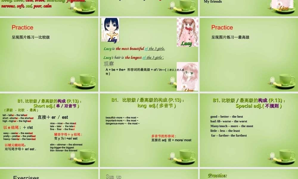 江苏省句容市后白中学八年级英语上册 Unit 1 Friends Grammar课件.ppt