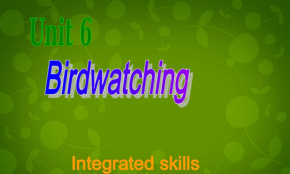 江苏省句容市后白中学八年级英语上册 Unit 6 Bird watching Integrated skills课件.ppt