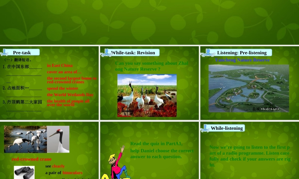 江苏省句容市后白中学八年级英语上册 Unit 6 Bird watching Integrated skills课件.ppt