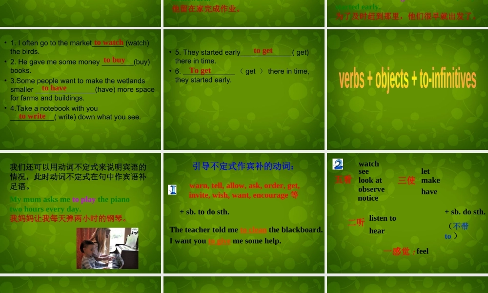 江苏省句容市后白中学八年级英语上册 Unit 6 Bird watching Grammar课件.ppt