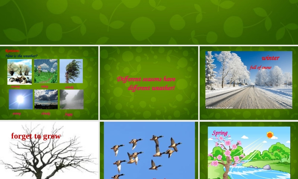 江苏省句容市后白中学八年级英语上册 Unit 7 Seasons知识梳理课件3.ppt