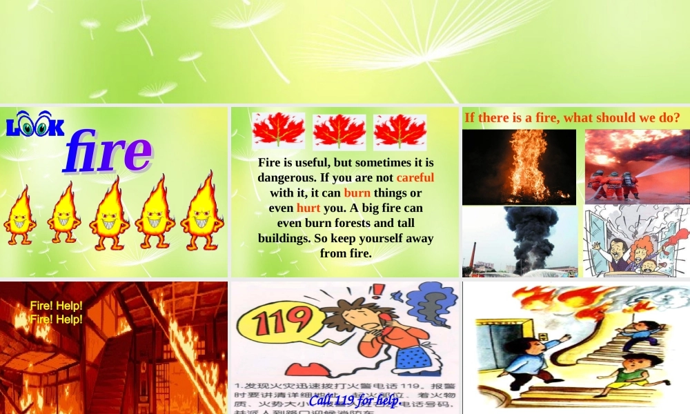 江苏省句容市天王中学七年级英语下册 Unit 7 Abilities Reading 1课件 .ppt