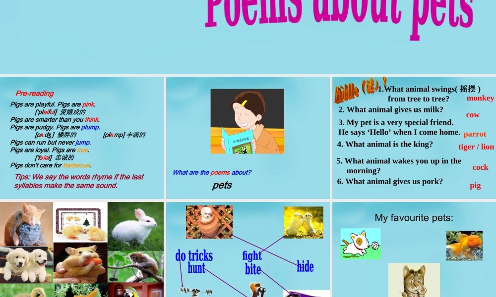 江苏省句容市天王中学七年级英语下册 Unit 8 Pets Reading 1课件 .ppt