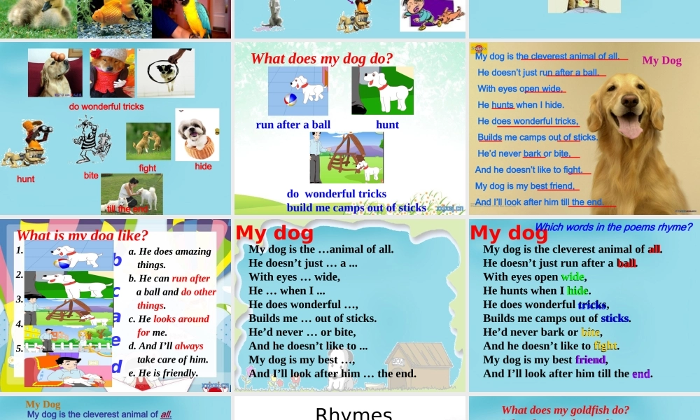 江苏省句容市天王中学七年级英语下册 Unit 8 Pets Reading 1课件 .ppt