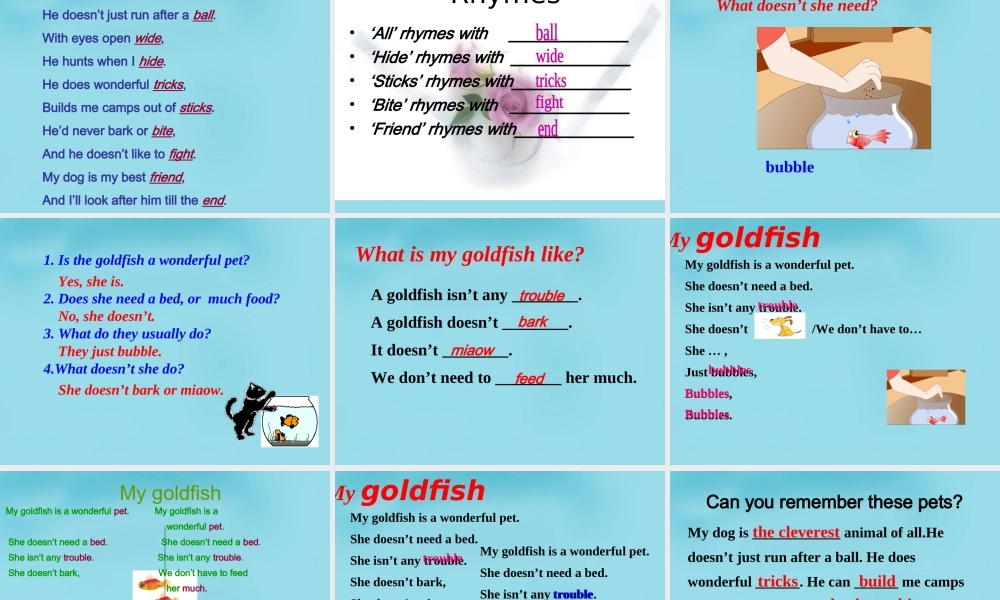 江苏省句容市天王中学七年级英语下册 Unit 8 Pets Reading 1课件 .ppt