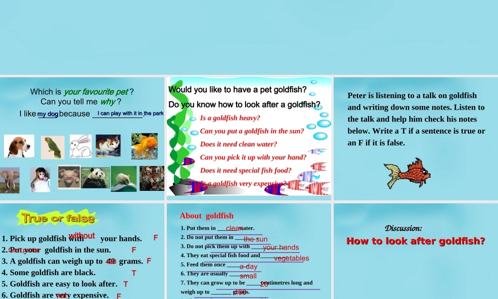 江苏省句容市天王中学七年级英语下册 Unit 8 Pets Integrated skills课件 .ppt