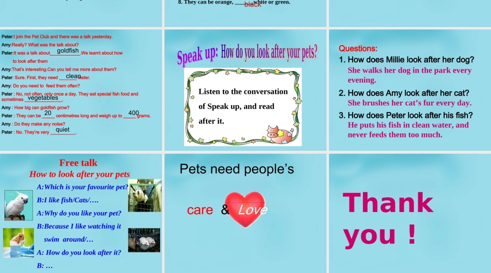 江苏省句容市天王中学七年级英语下册 Unit 8 Pets Integrated skills课件 .ppt