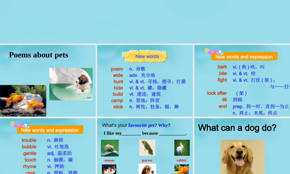 江苏省句容市天王中学七年级英语下册 Unit 8 Pets Reading 2课件 .ppt