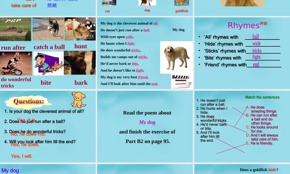 江苏省句容市天王中学七年级英语下册 Unit 8 Pets Reading 2课件 .ppt