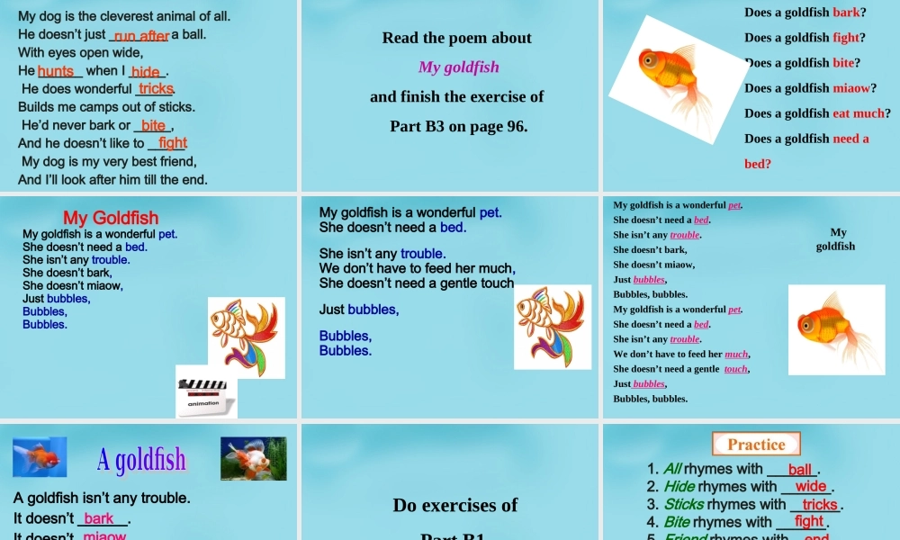 江苏省句容市天王中学七年级英语下册 Unit 8 Pets Reading 2课件 .ppt