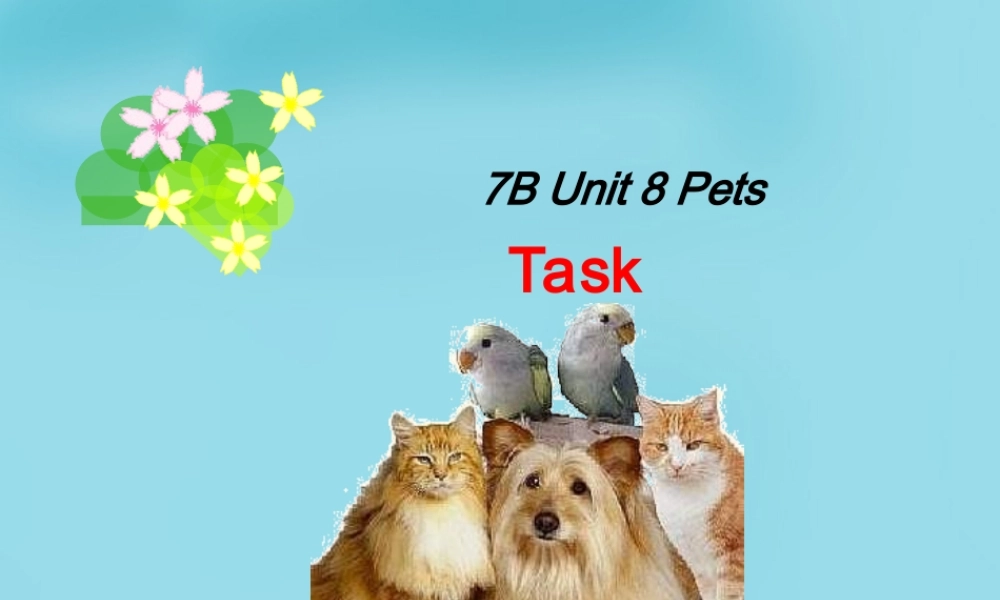 江苏省句容市天王中学七年级英语下册 Unit 8 Pets Task课件 .ppt