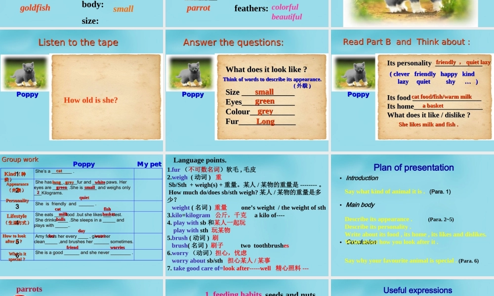 江苏省句容市天王中学七年级英语下册 Unit 8 Pets Task课件 .ppt
