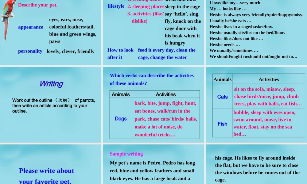 江苏省句容市天王中学七年级英语下册 Unit 8 Pets Task课件 .ppt