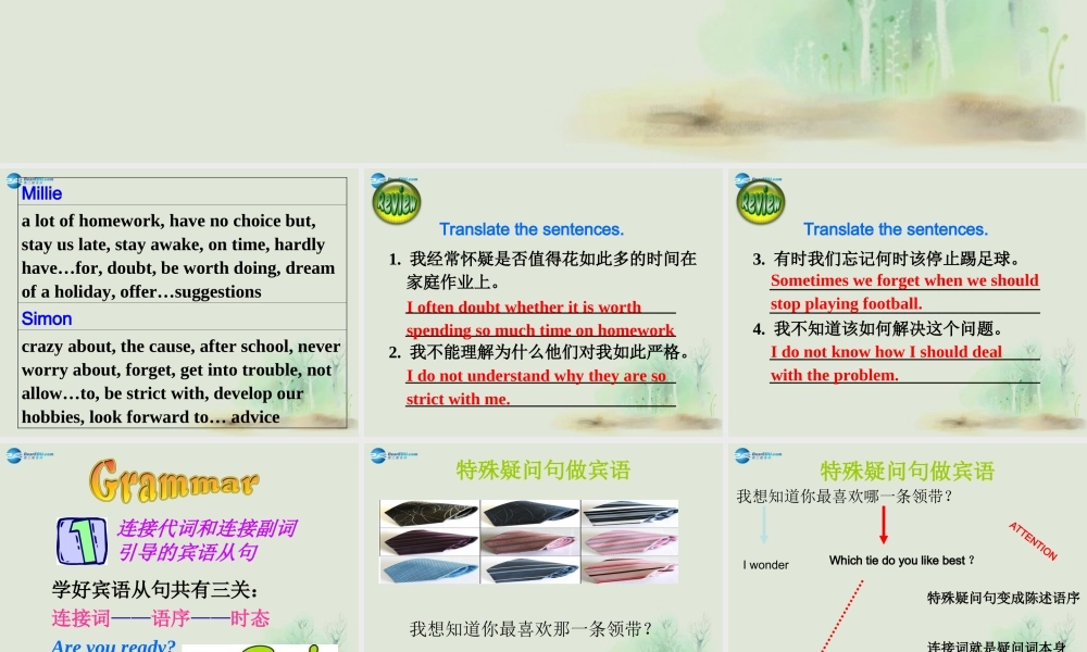 江苏省昆山市锦溪中学九年级英语上册 Unit 3 Teenage Problems Grammar课件 .ppt