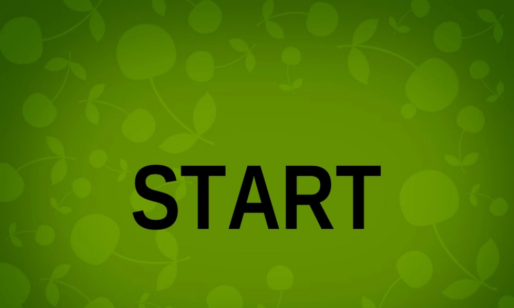 江苏省句容市天王中学七年级英语下册《Unit 6 Outdoor fun Task》课件 .ppt