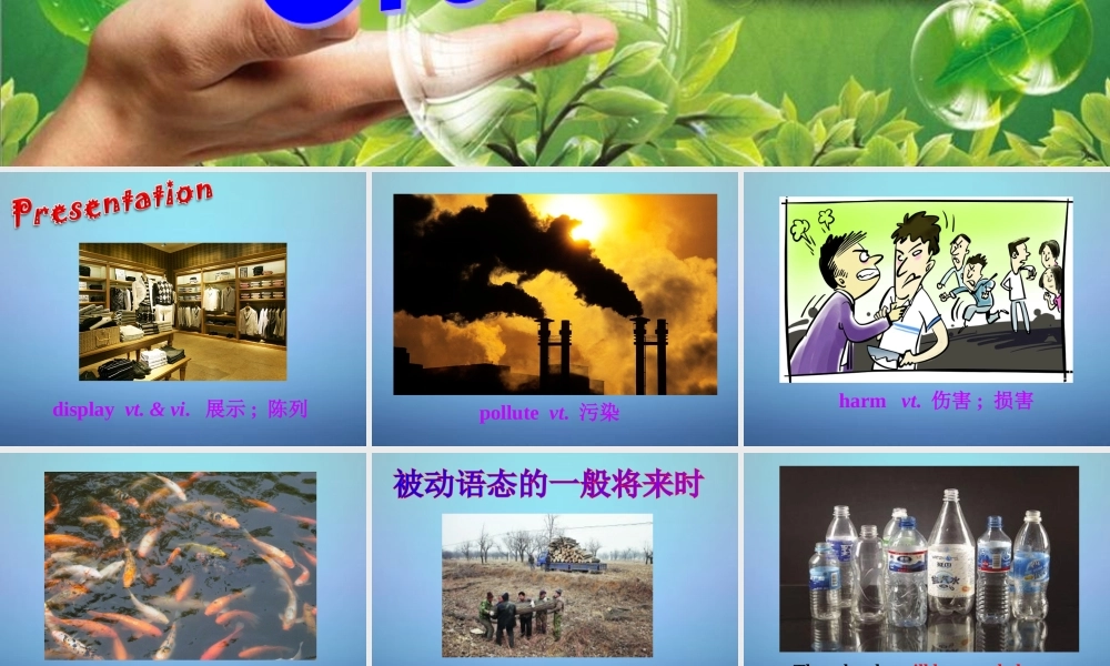 江苏省溧水县孔镇中学八年级英语下册 Unit 8 A green world Grammar课件1 .ppt
