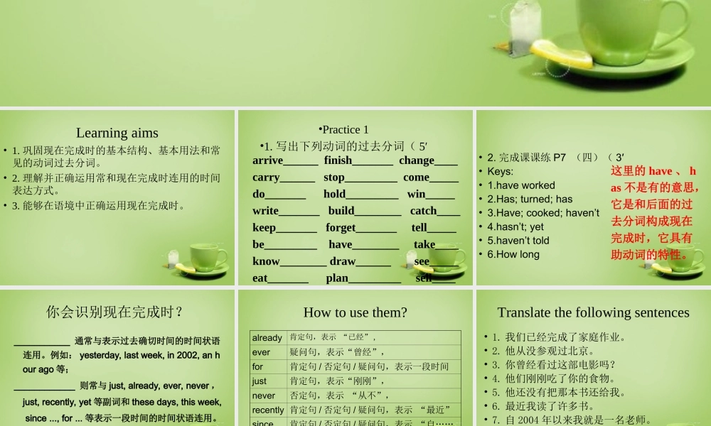 江苏省连云港市东海县晶都双语学校八年级英语下册 Unit 1 Past and Present Grammar 1课件 .ppt