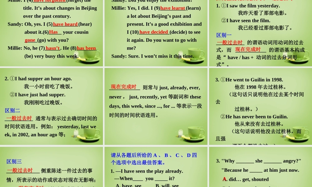 江苏省连云港市东海县晶都双语学校八年级英语下册 Unit 1 Past and Present Grammar 1课件 .ppt