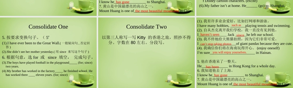 江苏省连云港市东海县晶都双语学校八年级英语下册 Unit 2 Travelling Reading巩固课件 .ppt