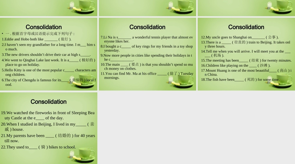 江苏省连云港市东海县晶都双语学校八年级英语下册 Unit 2 Travelling wordlist课件 .ppt