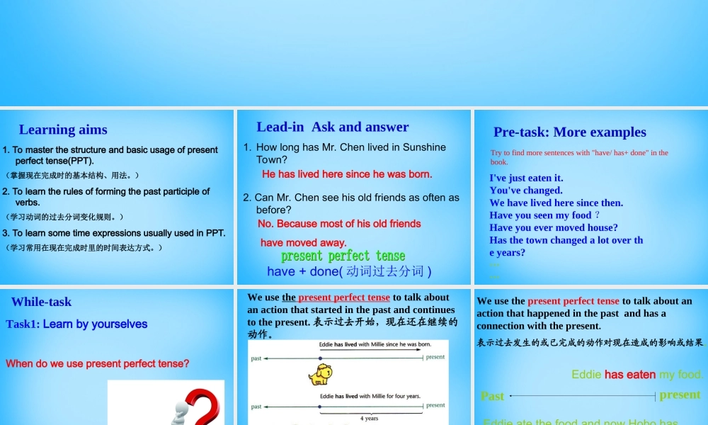 江苏省南京市六合区横梁初级中学八年级英语下册 Unit 1 Past and Present grammar课件 .ppt