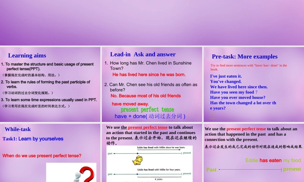 江苏省南京市长城中学八年级英语下册 Unit 1 Past and Present Grammar课件 .ppt