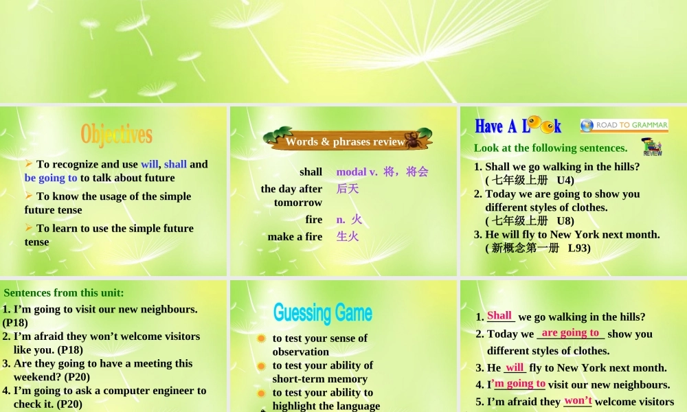 江苏省南京市长城中学七年级英语下册 Unit 2 Neighbours Grammar课件 .ppt