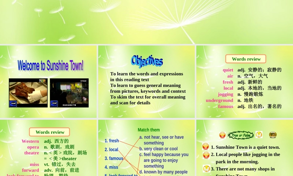 江苏省南京市长城中学七年级英语下册 Unit 3 Welcome to Sunshine Town Reading课件 .ppt