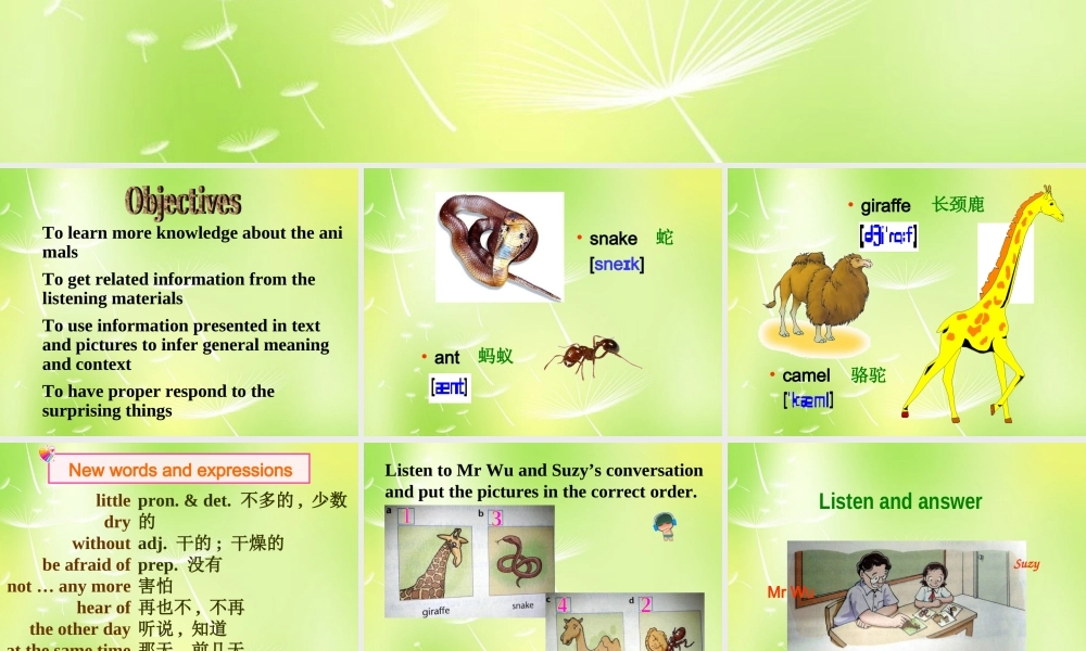 江苏省南京市长城中学七年级英语下册 Unit 5 Amazing things Integrated skills课件 .ppt