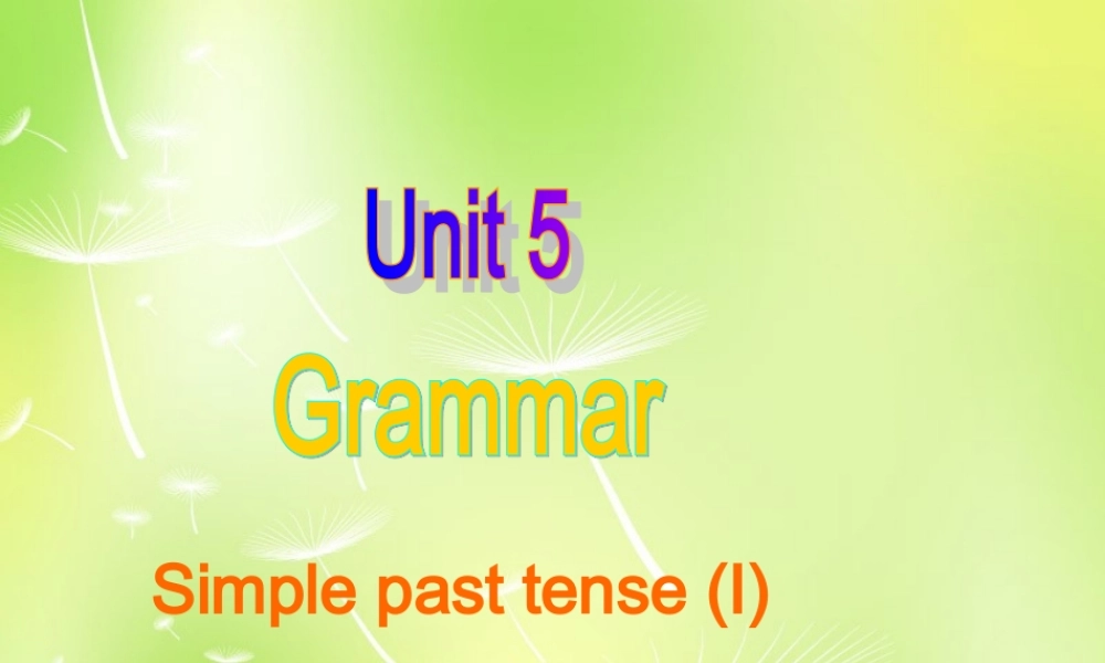 江苏省南京市长城中学七年级英语下册 Unit 5 Amazing things Grammar课件 .ppt