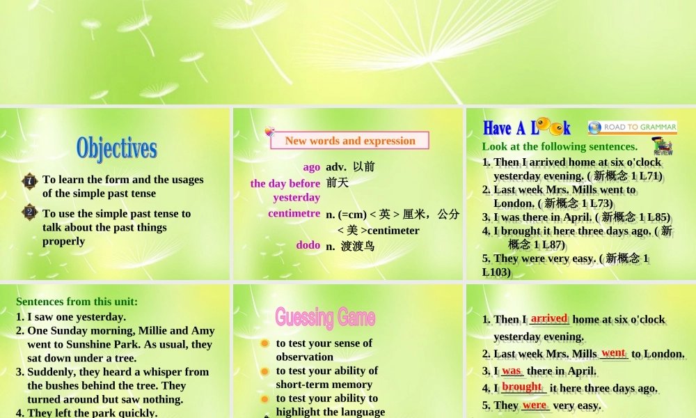 江苏省南京市长城中学七年级英语下册 Unit 5 Amazing things Grammar课件 .ppt