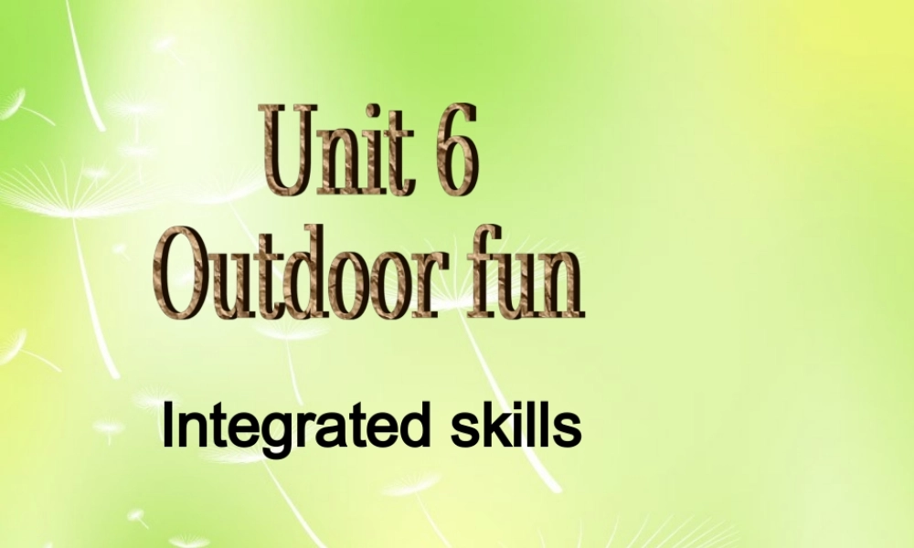 江苏省南京市长城中学七年级英语下册 Unit 6 Outdoor fun Integrated skills课件 .ppt