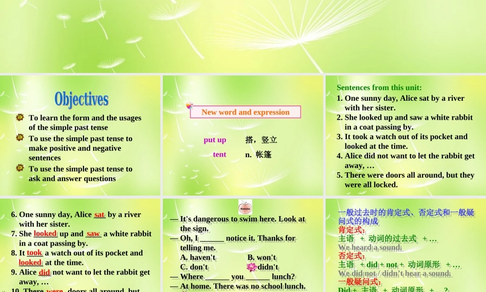 江苏省南京市长城中学七年级英语下册 Unit 6 Outdoor fun Grammar课件 .ppt