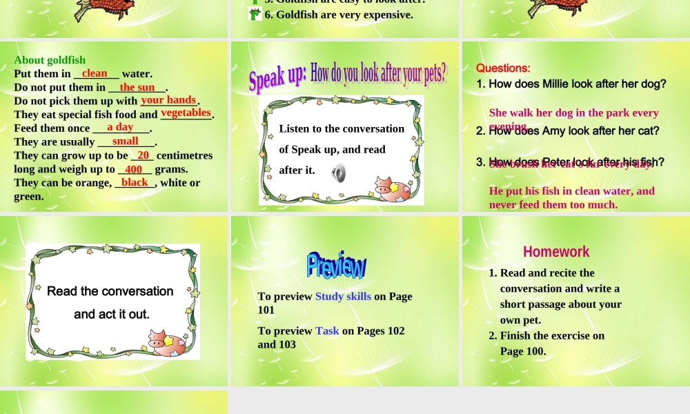 江苏省南京市长城中学七年级英语下册 Unit 8 Pets Integrated skills课件 .ppt