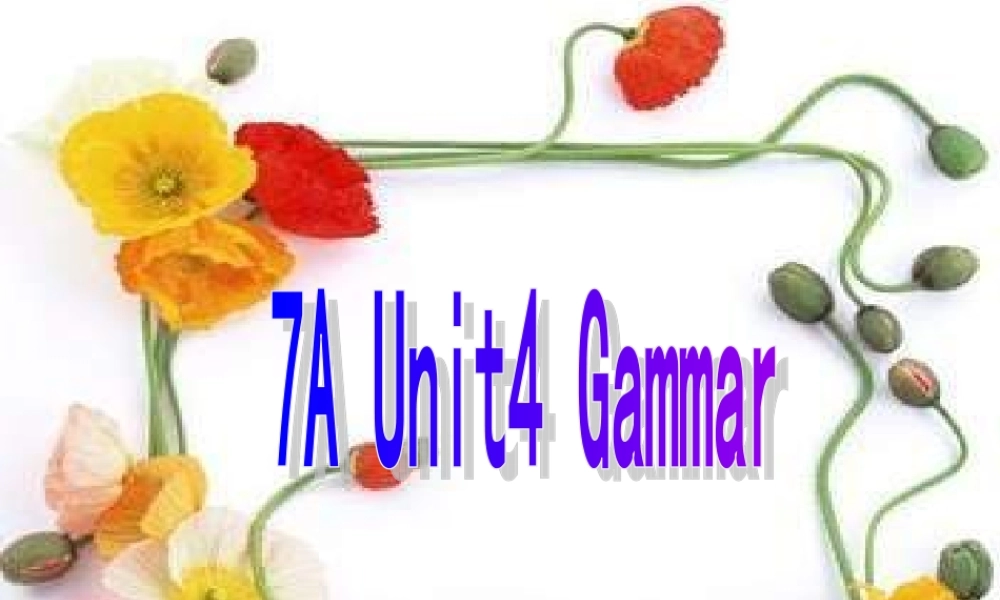 江苏省南通市实验中学七年级英语上册 Unit 4 My Day Gammar课件 .ppt