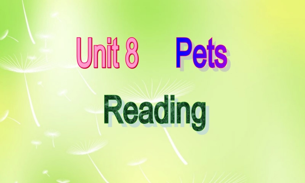 江苏省南京市长城中学七年级英语下册 Unit 8 Pets Reading课件 .ppt
