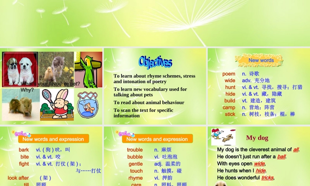 江苏省南京市长城中学七年级英语下册 Unit 8 Pets Reading课件 .ppt