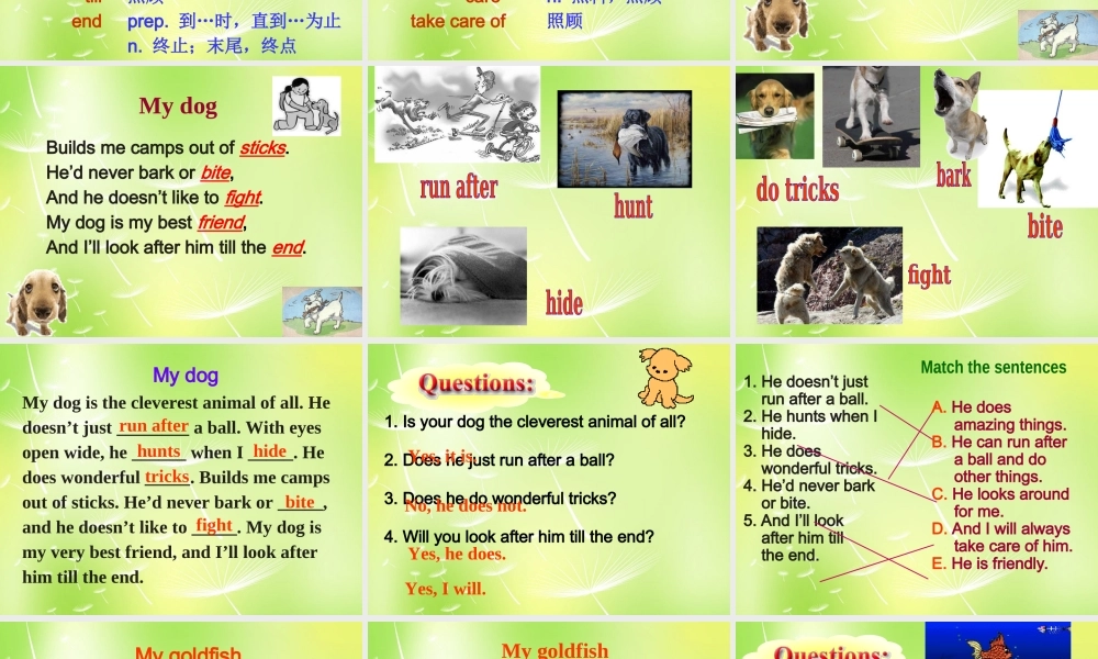 江苏省南京市长城中学七年级英语下册 Unit 8 Pets Reading课件 .ppt