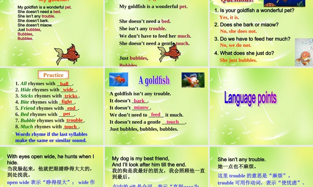 江苏省南京市长城中学七年级英语下册 Unit 8 Pets Reading课件 .ppt