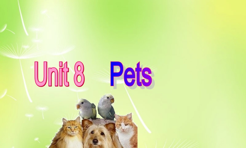 江苏省南京市长城中学七年级英语下册 Unit 8 Pets Welcome to the Unit课件 .ppt