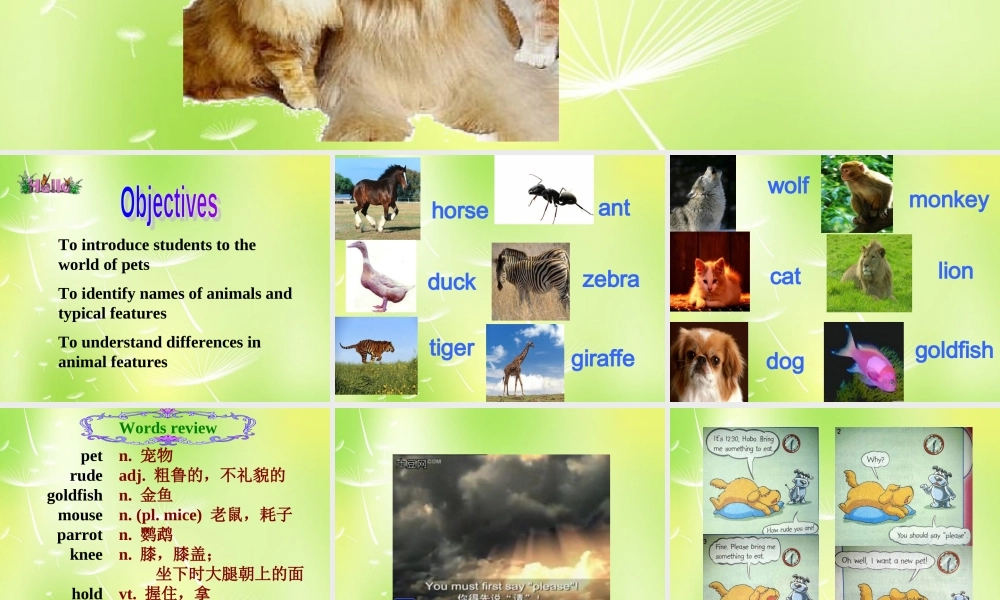 江苏省南京市长城中学七年级英语下册 Unit 8 Pets Welcome to the Unit课件 .ppt