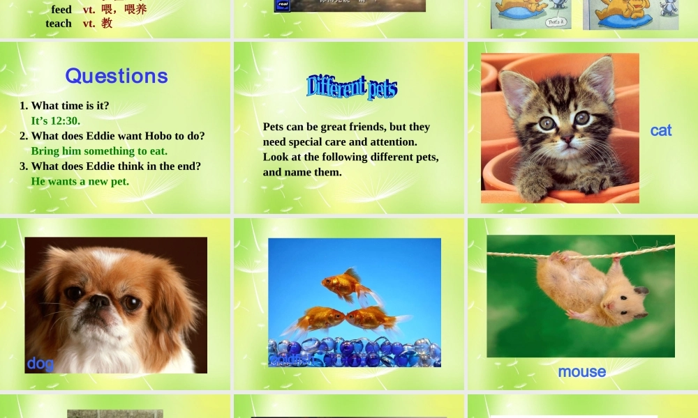 江苏省南京市长城中学七年级英语下册 Unit 8 Pets Welcome to the Unit课件 .ppt