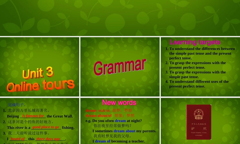 江苏省苏州市高新区第三中学校八年级英语下册 Unit 3 Online tours Grammar课件 .ppt