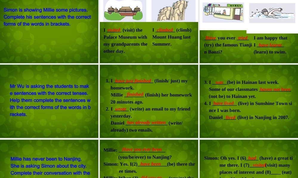 江苏省苏州市高新区第三中学校八年级英语下册 Unit 3 Online tours Grammar课件 .ppt