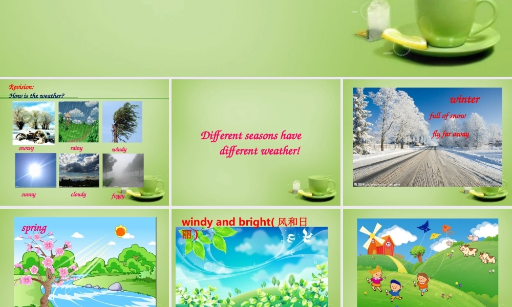 江苏省泗阳县南刘集中学八年级英语上册 Unit 7 Seasons reading课件.ppt