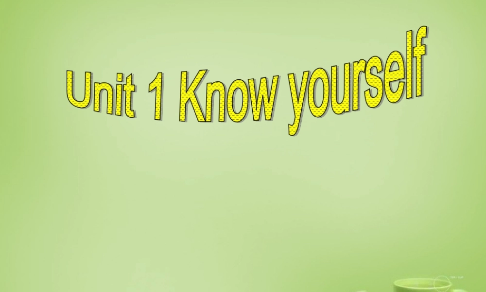 江苏省苏州市高新区第三中学校九年级英语上册《Unit 1 Know yourself Integrated skills & Study skills》课件 .ppt