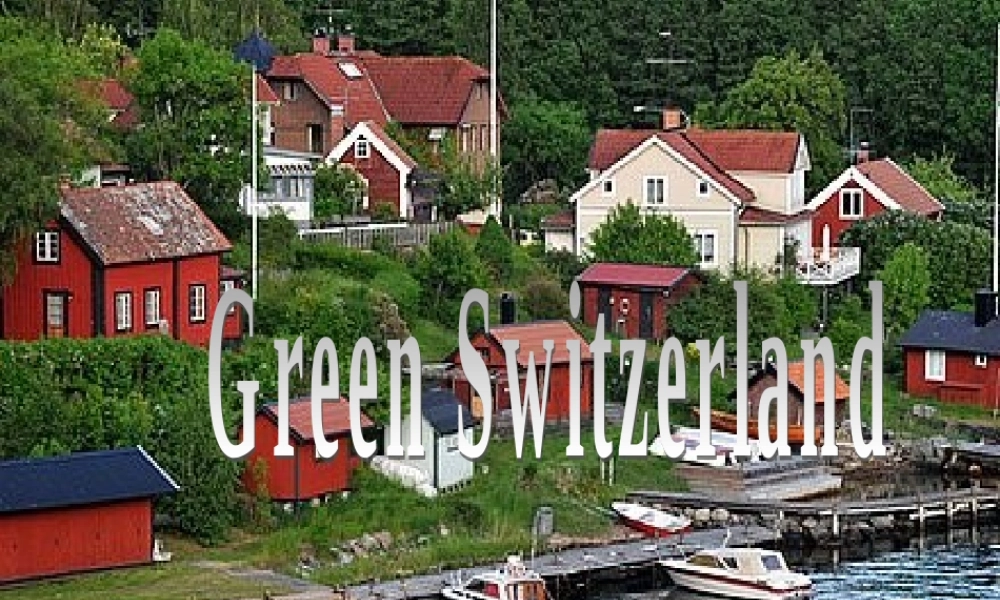 江苏省宿迁市泗洪县育才实验学校八年级英语下册 Unit 8 A green world P2 Reading课件 .ppt