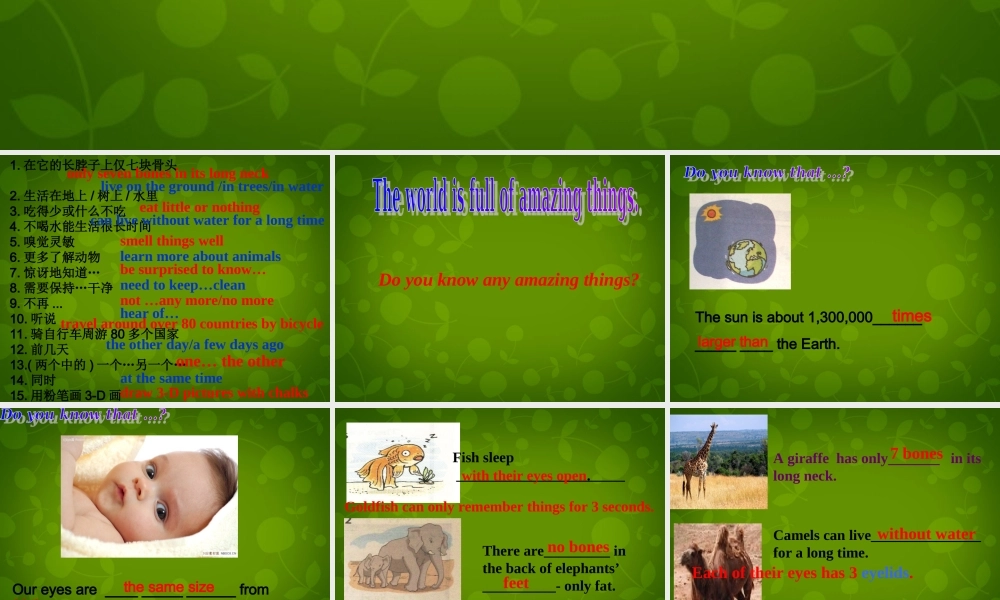 江苏省宿迁市钟吾初级中学七年级英语下册《Unit 5 Amazing things task & Study skills》课件 .ppt