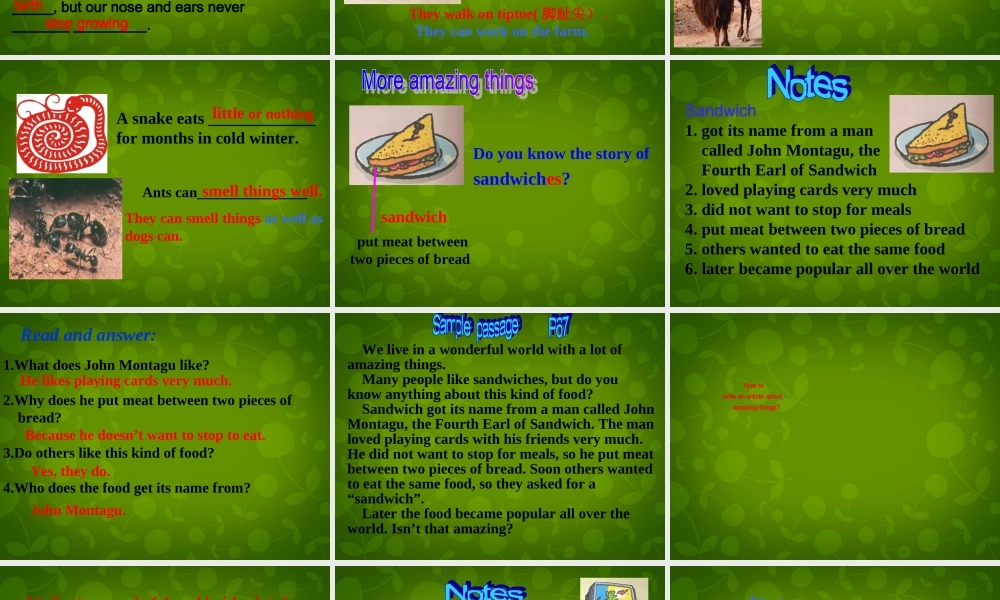 江苏省宿迁市钟吾初级中学七年级英语下册《Unit 5 Amazing things task & Study skills》课件 .ppt